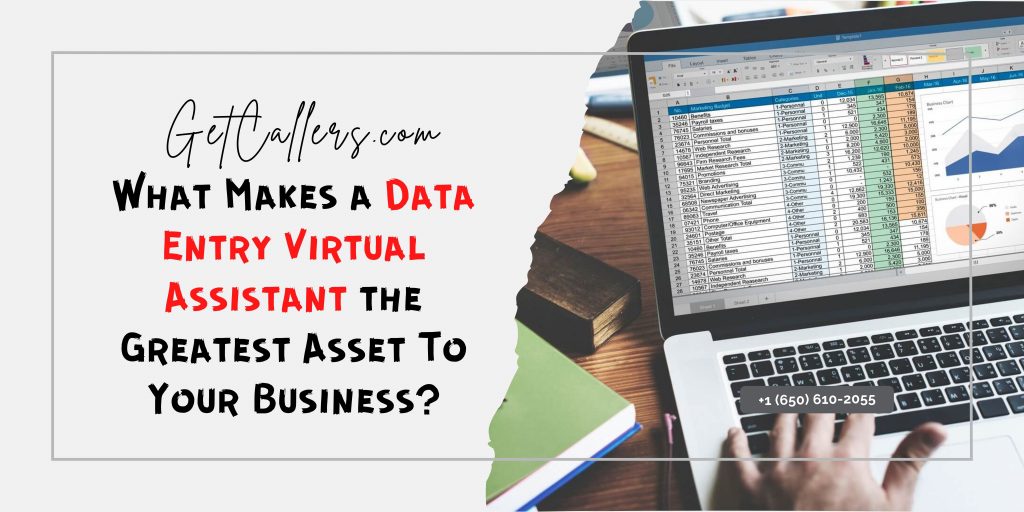 Data Entry Virtual Assistant