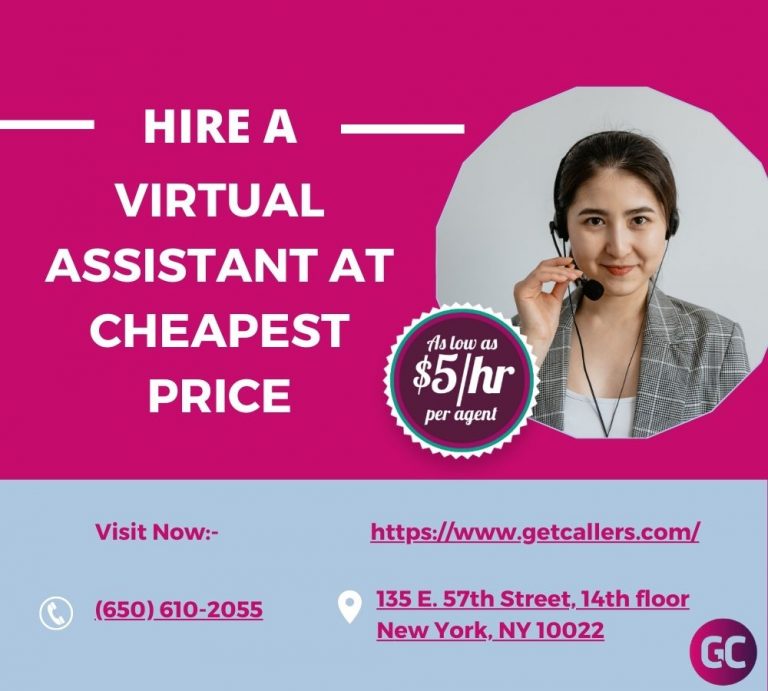 Hire A (1) Virtual Assistant